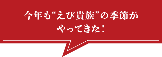 今年も”えび貴族”の季節がやってきた！